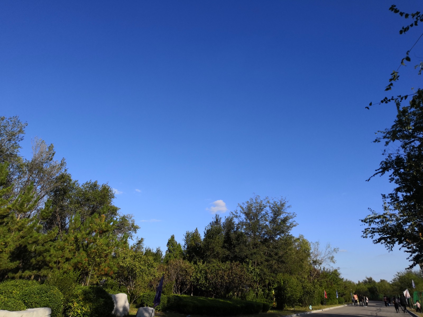 6055ae71d29ed.jpg